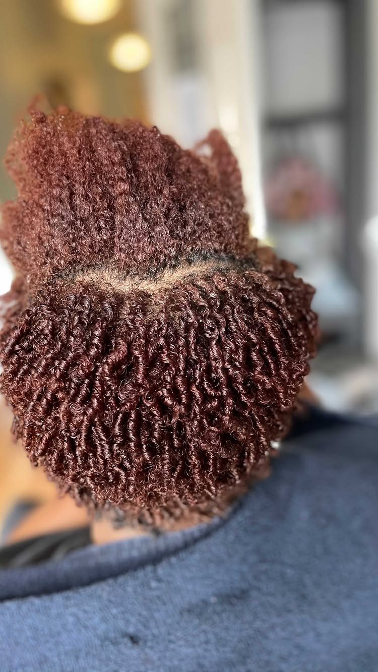 Reddish-brown hair styled in tight, defined finger coils viewed from above.