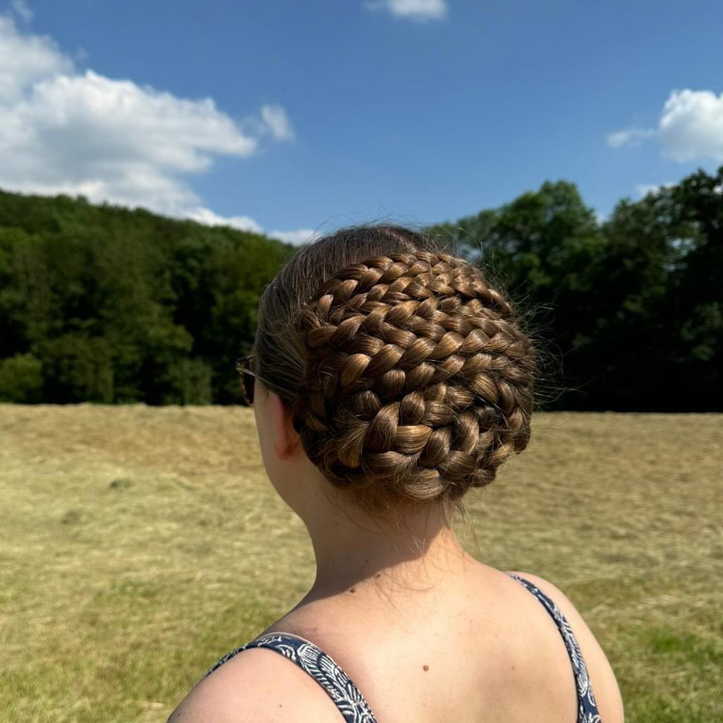 Intricate braided updo on light brown hair seen from behind in a field.