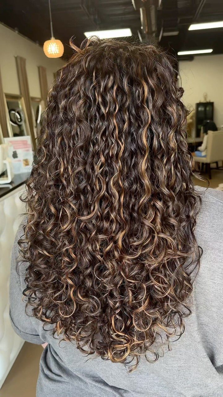 Long curly brunette hair with warm caramel balayage highlights seen from behind.
