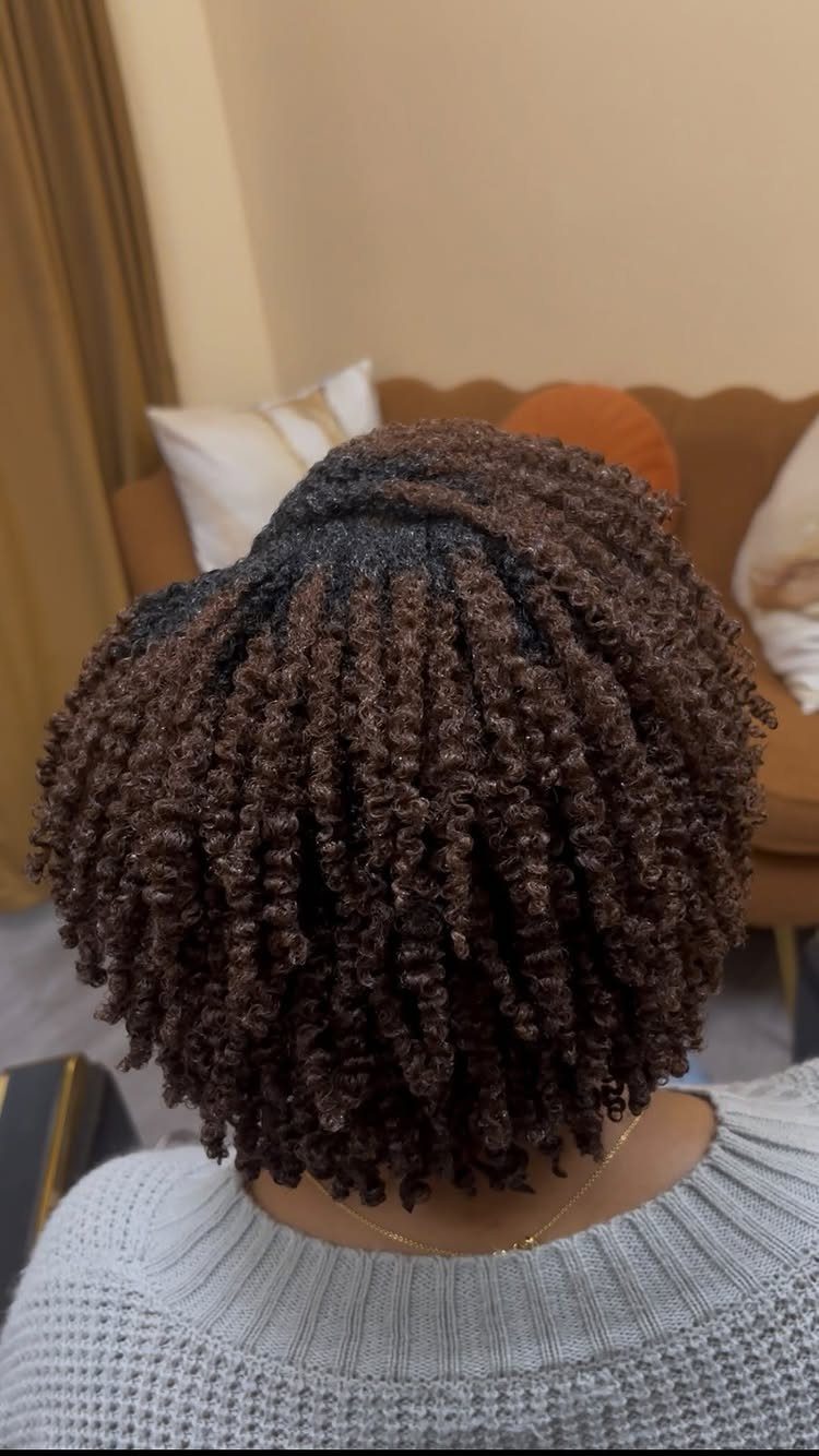 Tightly coiled dark brown 4C hair styled into defined, uniform curls from behind.
