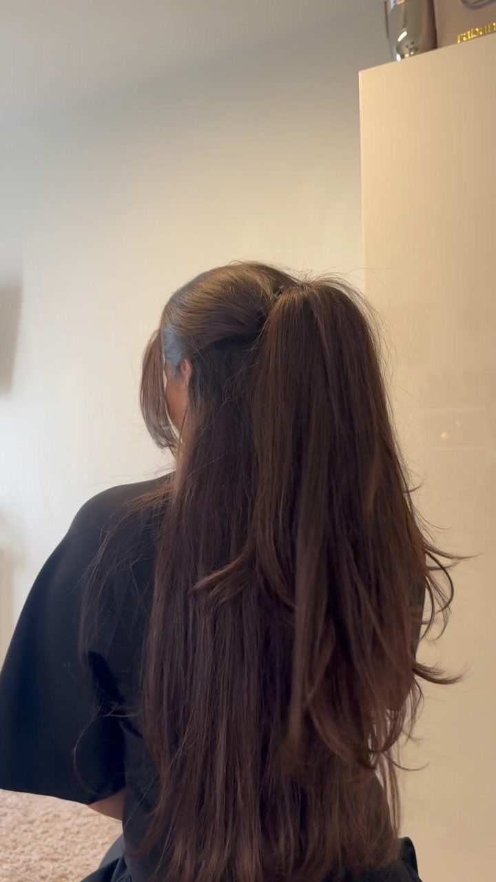 9 Long Hair Tutorial Ideas: Braids, Buns and Ponytails 5 Long brown hair styled in a half-up ponytail from a back view.