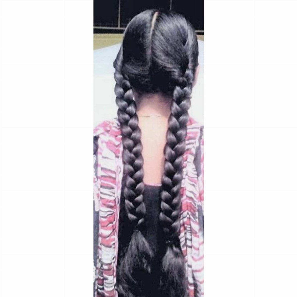 9 Long Hair Tutorial Ideas: Braids, Buns and Ponytails 6 Two long black pigtail braids hanging down the back of a person.