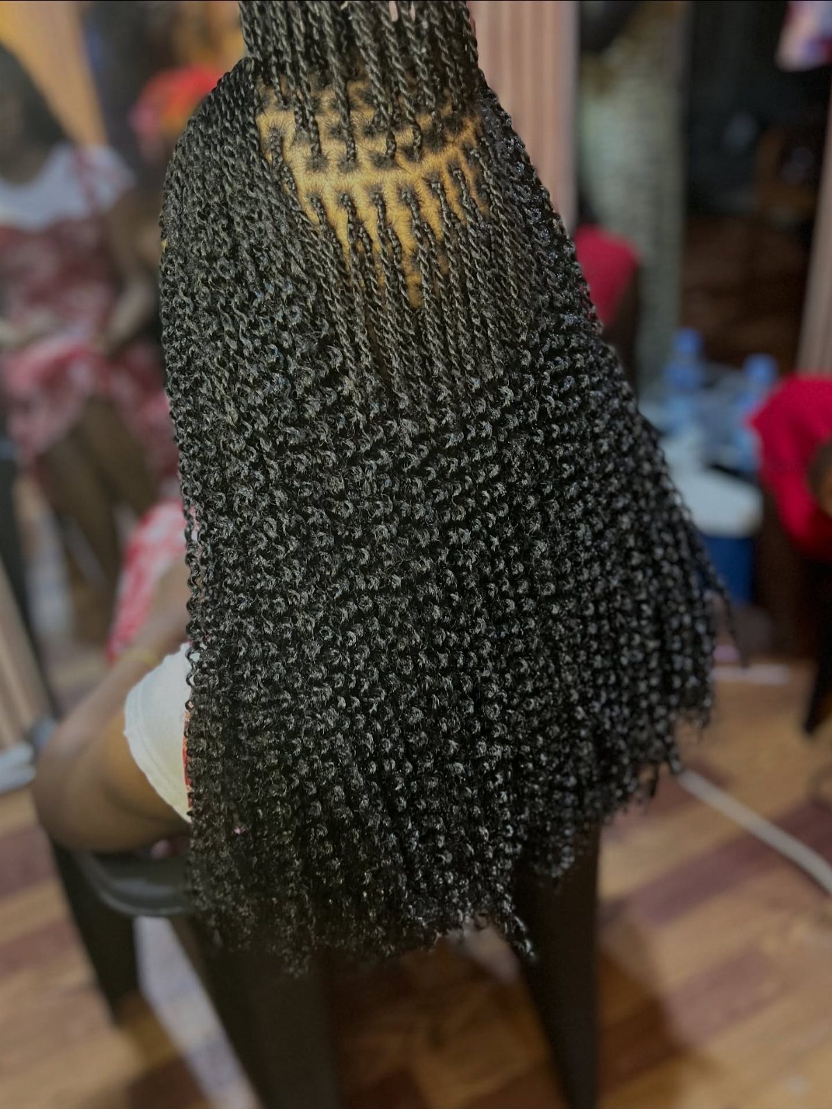 Long black Senegalese twists seen from behind, showing neat scalp parting and texture.