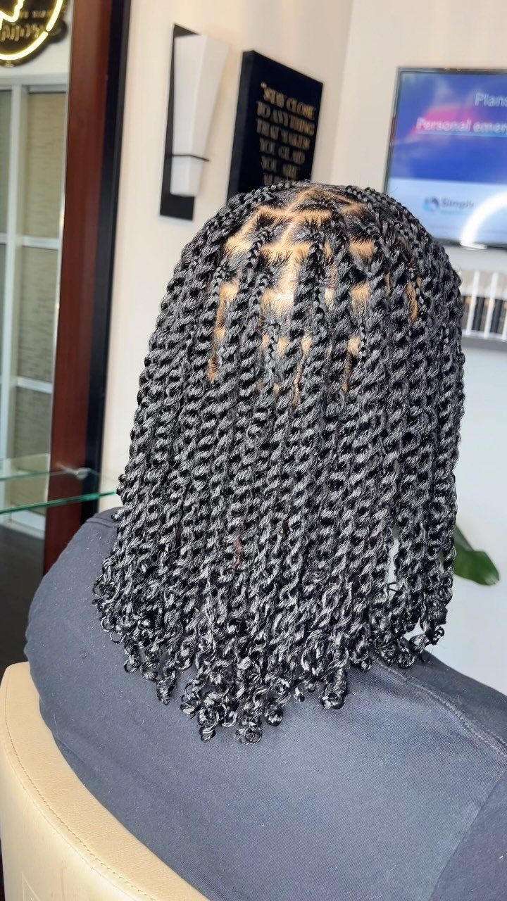Black hair styled in small, shoulder-length two-strand twists seen from behind.